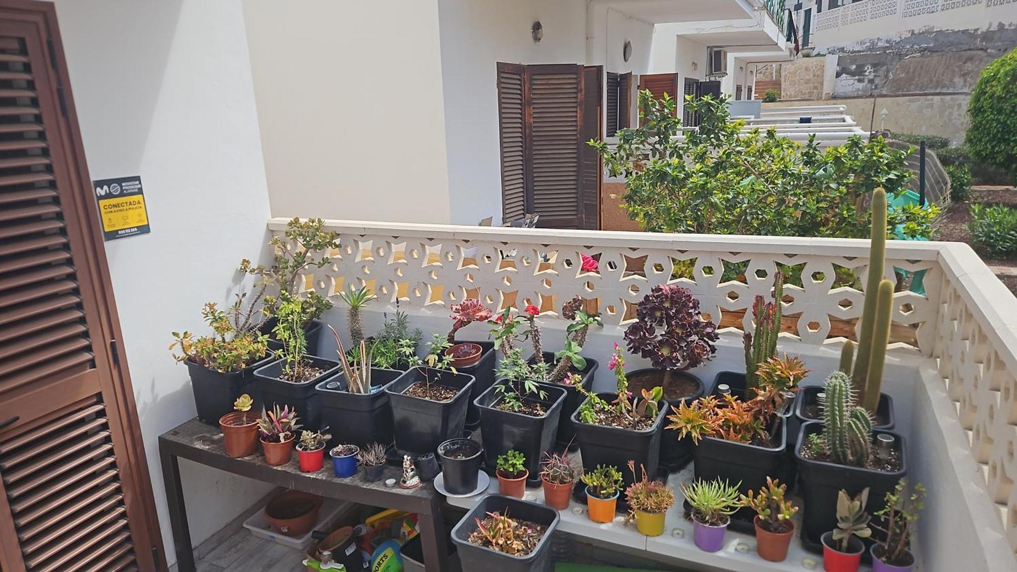 Renovated Villa In Las Americas Sea Coast Playa de las Americas  Bilik gambar